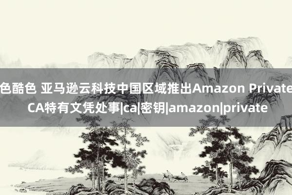 色酷色 亚马逊云科技中国区域推出Amazon Private CA特有文凭处事|ca|密钥|amazon|private